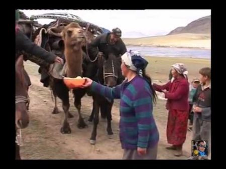 Бай Өлке Монголия қазақтары Алтай әні