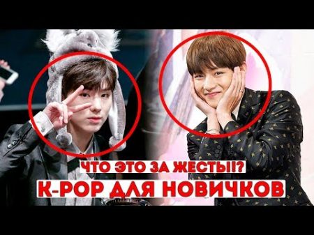 ЭТО ДОЛЖЕН ЗНАТЬ КАЖДЫЙ K POP ер!!! ЧТО ОЗНАЧАЮТ ЭТИ СЛОВА И ЖЕСТЫ