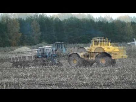 Экстремальная уборка кукурузы Extreme harvesting corn 2014