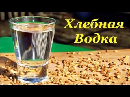 Хлебная водка рецепт браги на диких дрожжах пшеницы