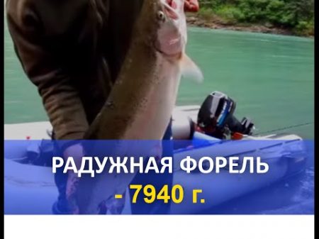 Рыбалка Радужная форель Вес 7940гр