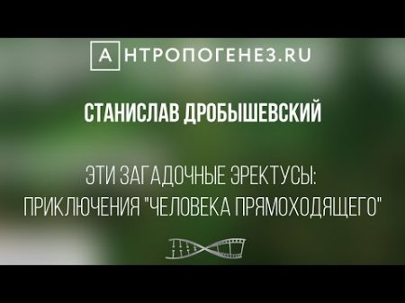 Эти загадочные эректусы приключения человека прямоходящего Станислав Дробышевский