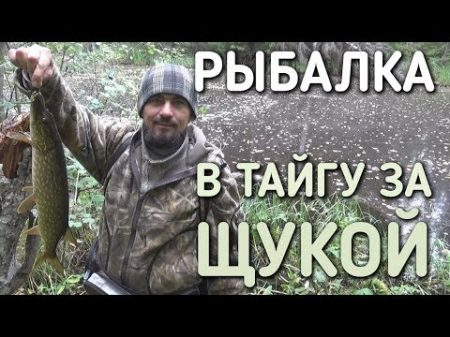 РЫБАЛКА В ТАЙГУ ЗА ЩУКОЙ СЕНТЯБРЬ 2017 БРАТЬЯ ПРИХОДЬКО