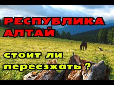 ПЕРЕЕЗД В ГОРНЫЙ АЛТАЙ ПЛЮСЫ И МИНУСЫ РЕГИОНА
