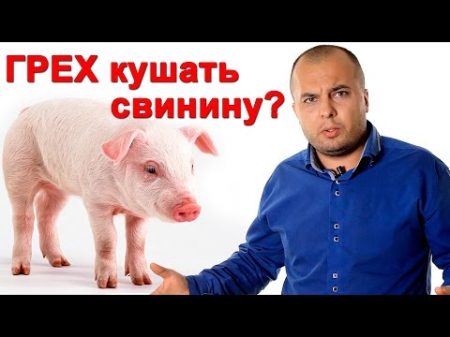 Свинину можно есть христианам в Новом завете СтопГРЕХ