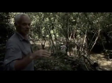 Речные монстры 3 Сезон 7 Серия Убийца из джунглей Jungle Killer