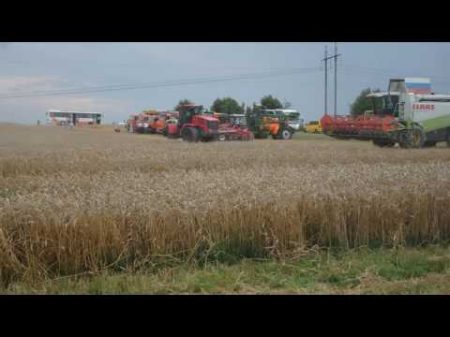 Уборка пшеницы 2016 ДОН 1500Б CLAAS LEXION 480 John Deere wts