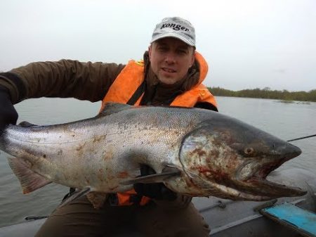 За королевским лососем на Камчатку King salmon fishing Рыбалка на чавычу на река Большая