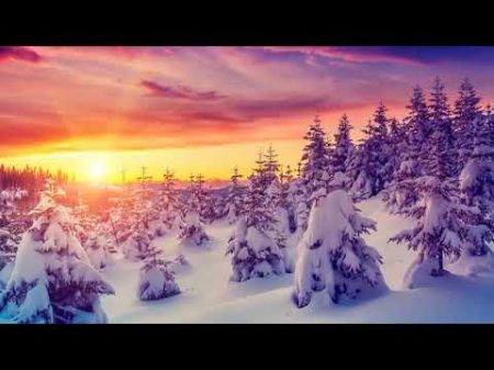 Жизнь полная любви Клаус Джоул Жизнь полная любви Клаус Джоул