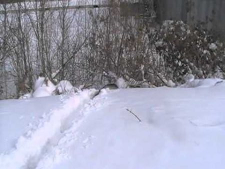 Тунгус подснежная лодка