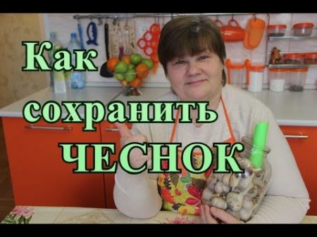 Хранение чеснока Чеснок будто только с грядки