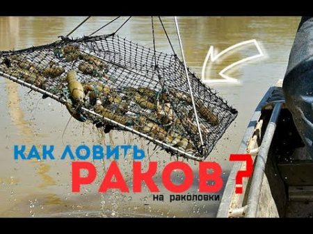 С этими советами ты наловишь мешок раков ! Как ловить раков на раколовки