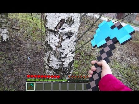 TOP 5 MINECRAFT IN REAL LIFE