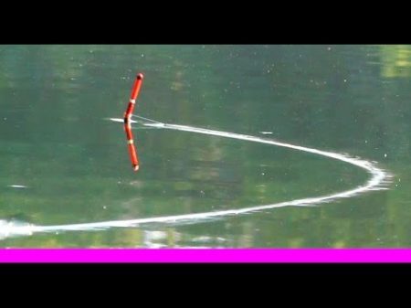 Подлещик и красноперка ловил над дном Рыбалка поплавок fishing ikan câu cá memancing