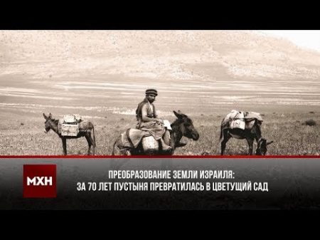 70 ЛЕТ ЗЕМЛИ ИЗРАИЛЯ ПУСТЫНЯ ПРЕВРАТИЛАСЬ В ЦВЕТУЩИЙ САД