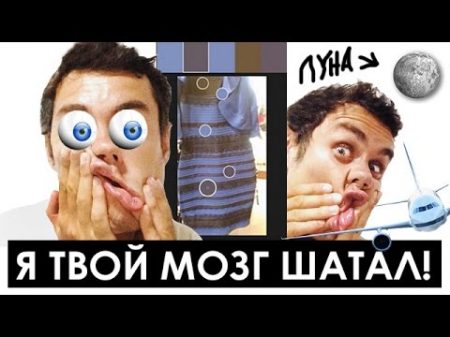 5 чувств которые вас обманывают thedress ТОПЛЕС