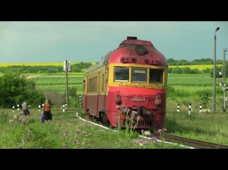 Дизель поезд Д1 664 в о п Совхоз D1 664 passing Sovhoz stop