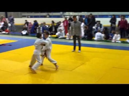 Дзюдо лучшие броски