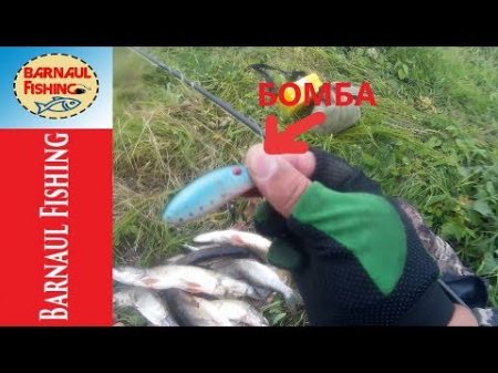 ПРИМАНКА БОМБА!! ЖОР ЩУКИ!! Ловля щуки на воблер Barnaul Fishing