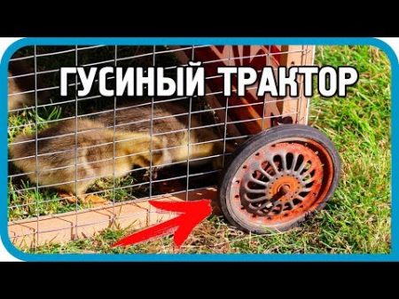 СПАСТИ ГУСЯТ ОТ НЕПРИЯТЕЛЯ! Делаем Гусиный трактор