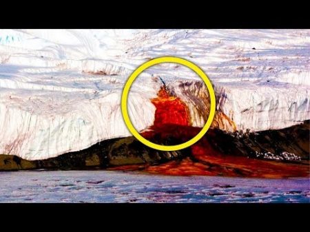Антарктида под грифом строго секретно ! Обнаруженное во льдах повергло в ступор даже бывалых