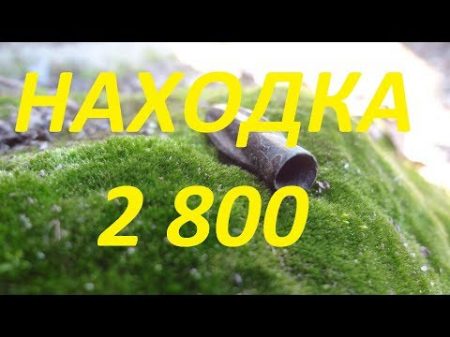 АФИГЕТЬ! Выкопал скифа Находкам снова больше 2 500 лет