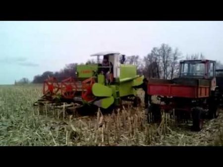 Уборка кукурузы 2017 после зимы Комбайн Claas Compact 25