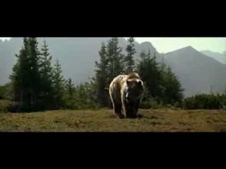 Медведь The Bear L Ours 1988