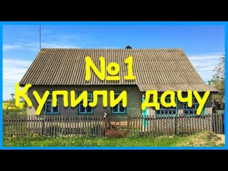 Купили дачу привезли кота Изучаем обстановку Дачники 0 lvl