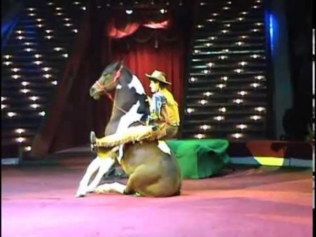 Yakubovskie ru Comic Cowboy Horse Moscow Circus Цирковой номер Комический Ковбой Якубовские