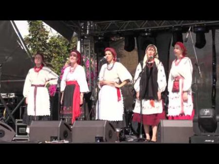 Жнивні ліричні та жартівливі пісні з Чернігівщини
