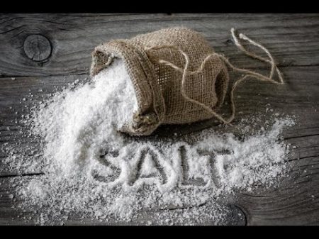 С В Савельев влияние соли на человека