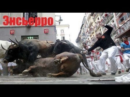 Видео самого безумного шоу энсьерро бег разъяренных быков в Испании