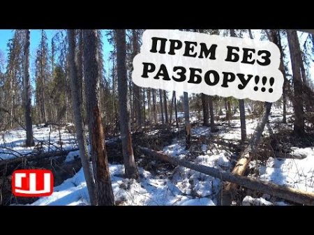 По СГОРЕВШИМ мостам КАРЕЛИИ! Ломимся домой! Кто такая РОССОМАХА День 5 ч1