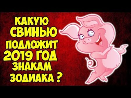 Какую Свинью подложит 2019 год вашему ЗНАКУ ЗОДИАКА ТОЧНЫЙ ГОРОСКОП НА 2019 ГОД