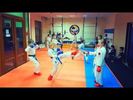 Урок спортивного каратэ для детей WKF Karate for Children KARATE CLUB SKIF