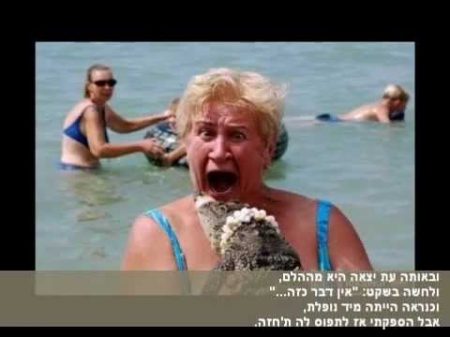 Розенбаум Открылась дверь пер на иврит רוזנבאום נכנסתי פנימה