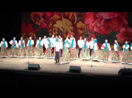Zancudo con Dengue Coro Pyatnitski FIA 2014