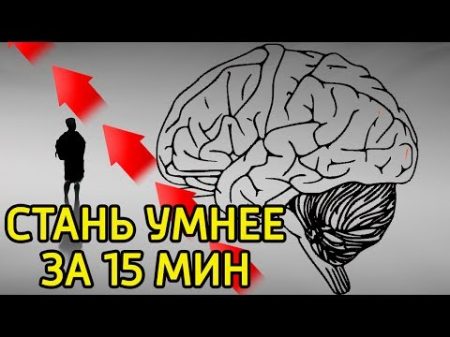 10 идей как за 15 минут заставить мозг работать и думать Как быстро повысить работоспособность мозга