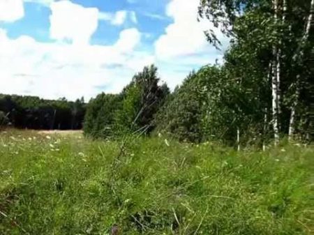 Романс Здесь хорошо Сергея Рахманинова в исполнении Анны Нетребко