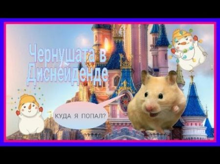 Чернушата в Диснейленде