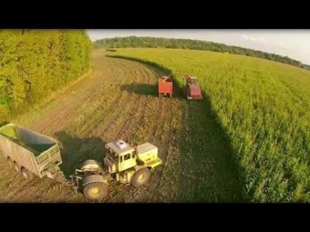 Уборка кукурузы на силос Полесье КВК 800 36