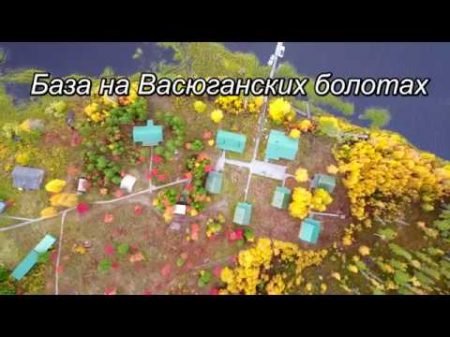 Окунь 1 5кг Рыбалка на вертолетах таёжные озёра Томской области