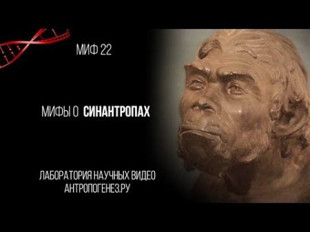 Александр Соколов Мифы о Синантропах