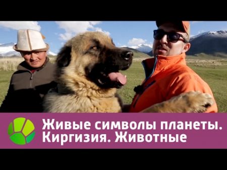 Живые символы планеты Киргизия Животные Живая Планета