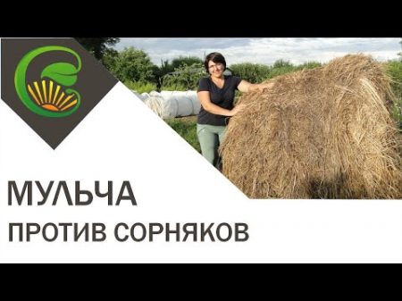 Мульчирование против сорняков