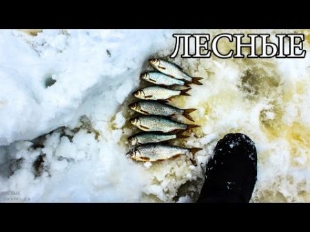 ЛОВУШКА ДЛЯ РЫБЫ ИЗ ЛЬДА ЛЕДЯНОЙ ТУПИК Ice Fish Trap