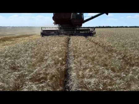 Комбайн НИВА СК 5М 1 уборка пшеницы