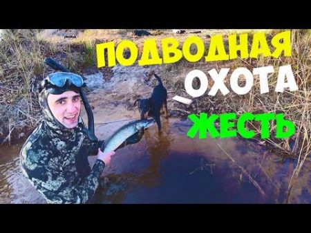 Экстремальная Подводная Охота! Филе щуки в чесночном соусе на гриле