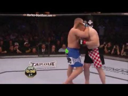 Два друга встретились в октагоне